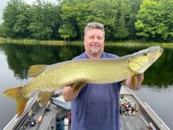 Angler catching a muskellunge fish in Phelps