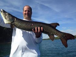 Impressive muskellunge caught during fishing trip in Phelps