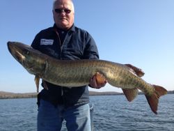 Muskellunge fish caught in WI