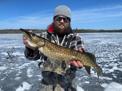 A Northern Pike being caught while fishing in WI