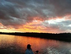 Scenic view of the lakeside in Phelps