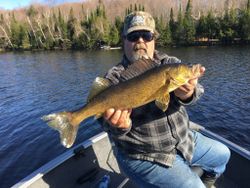 A pike-perch fish caught while fishing in Wisconsin