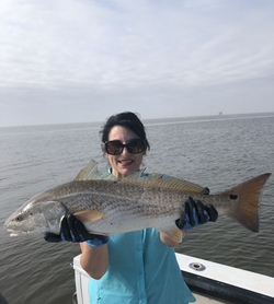 Redfish caught by angler in Gulf Shores