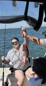 One black drum fish caught while fishing in AL