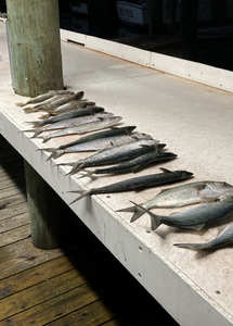 A breathtaking view of the Gulf Shores coastline with a couple fishing on the pier