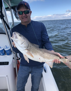 Redfish caught by fisherman in Alabama