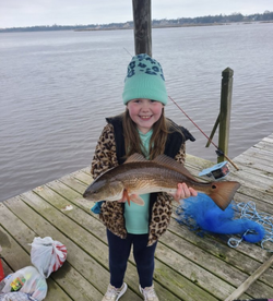 Redfish caught in Gulf Shores