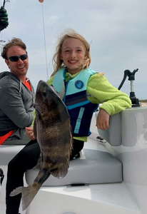 Sheepshead fish caught while fishing at Gulf Shores