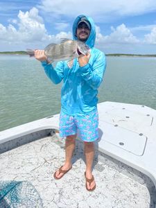 Photograph of a 14-inch Black Drum fish caught while fishing in Port Isabel
