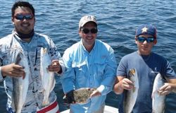 Four Chinook salmon caught fishing in Port Isabel