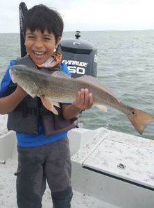 Redfish caught in Port Isabel