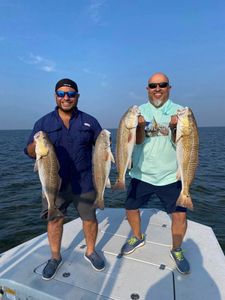 4 large redfish caught at Port Isabel