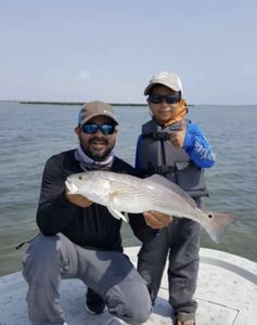 Redfish caught fishing in Port Isabel