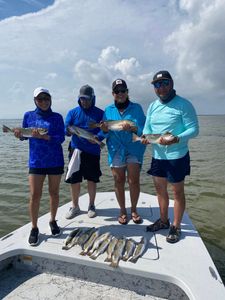 Redfish caught by 4 people in Port Isabel