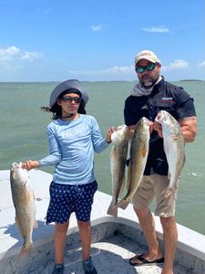 Three chub mackerel fish caught during a fishing trip in TX