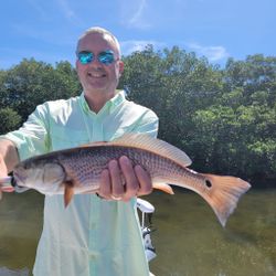 Fish-Species