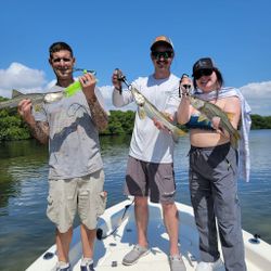 Fish-Species