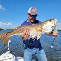 Redfish fishing in St. Petersburg, FL