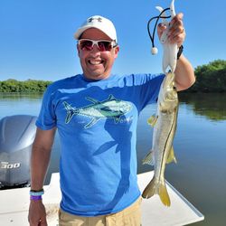 Caught a Snook in St. Petersburg, FL