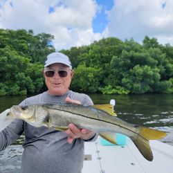 Snook Fishing in Tampa, FL