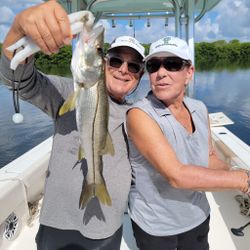 St. Petersburg Fishing for Snook 