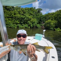 Snook fishing St. Petersburg, FL	