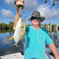 Tampa Charter Fishing for Crevalle Jack