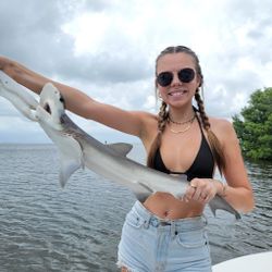 Bonnethead shark fishing in Florida