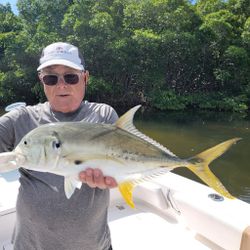 Crevalle Jack, a 23-inch fish caught while fishing in FL