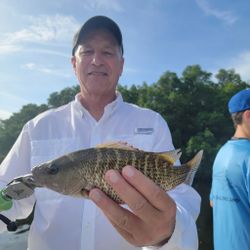 Fisherman with a grey snapper in FL