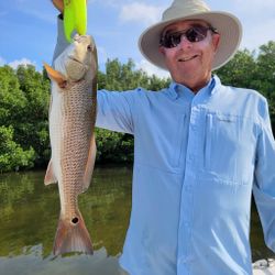 Fishing for Redfish in St. Petersburg, FL 