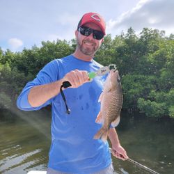 Grey Snapper fish caught by 1 angler in St. Petersburg