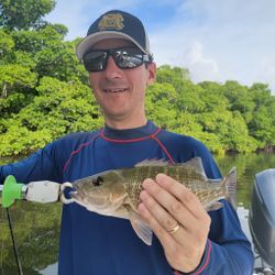 Hooked a Crappie in St. Petersburg, FL 