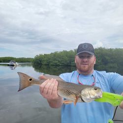 Redfish caught by angler in St. Petersburg