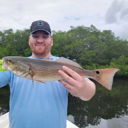 Redfish caught in FL during fishing trip