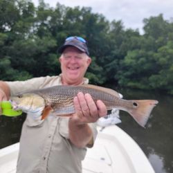Redfish, 25 inches, caught fishing in FL