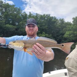 Redfish caught in FL