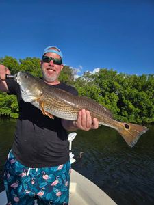Redfish caught while fishing in FL