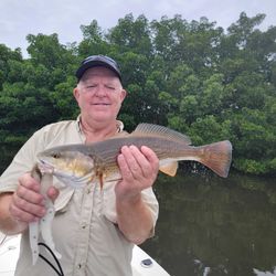 Redfish caught by angler in St. Petersburg
