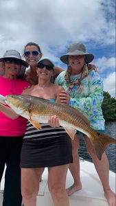 Redfish caught by group of 4 people in St. Petersburg