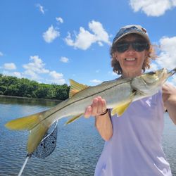 Snook, a large fish caught by a fisherman in FL
