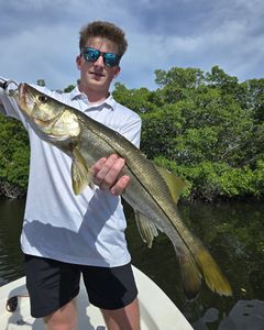 Snook fishing in St. Petersburg