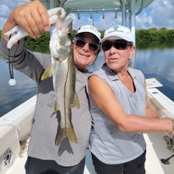 Snook fish caught in FL