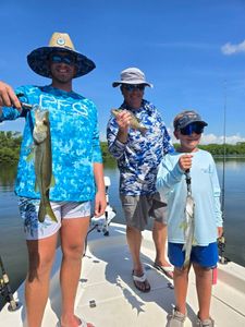Two snook fishing in St. Petersburg