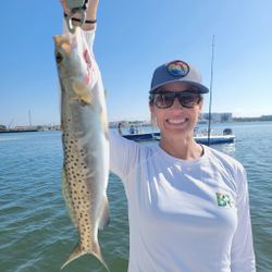 A Trout moment in Tampa Bay today!