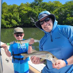 Two large snook caught while fishing in Florida