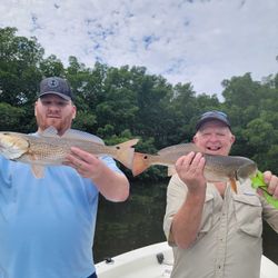 Two redfish, 18 inches long, caught while fishing in FL