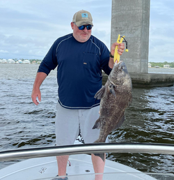 1 black drum fish caught while fishing in MS