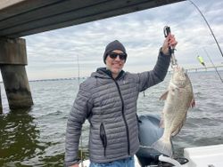 A big black drum fish caught by a person in Pass Christian