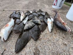 Four fish caught while fishing in MS